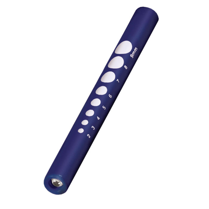 210 - Pupil Gauge Disposable Penlight